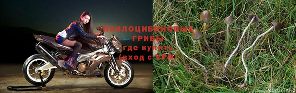 метамфетамин Лагань