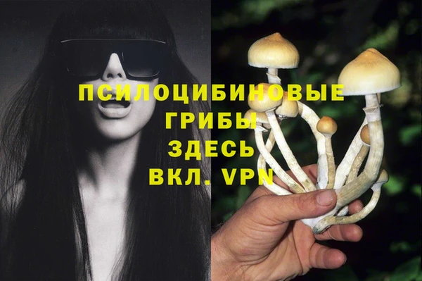 мдма Ладушкин