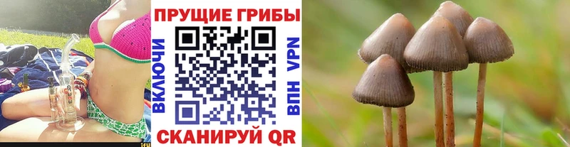 Псилоцибиновые грибы мицелий  гидра зеркало  Хилок 